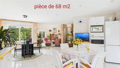 photo no. 6