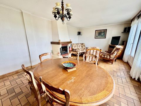 photo no. 6