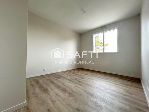 photo no. 9