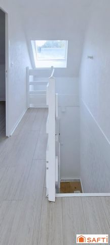photo no. 12