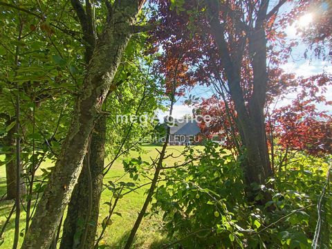 photo no. 17