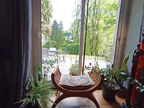 photo no. 7