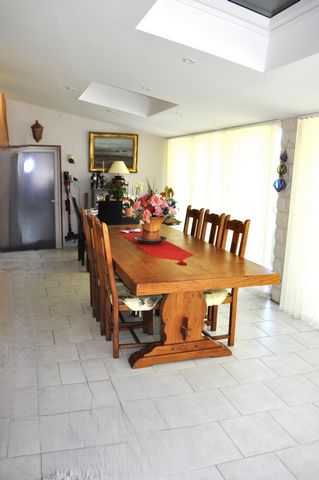photo no. 8