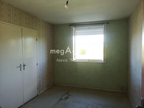 photo no. 6