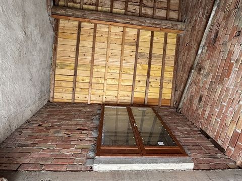 photo no. 6