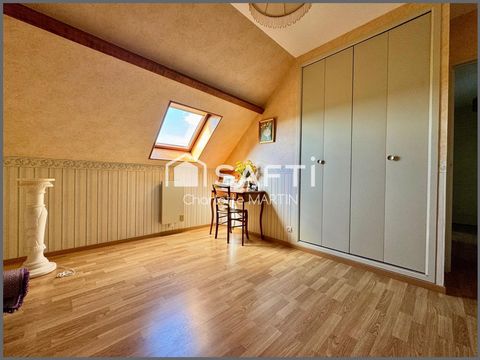 photo no. 11