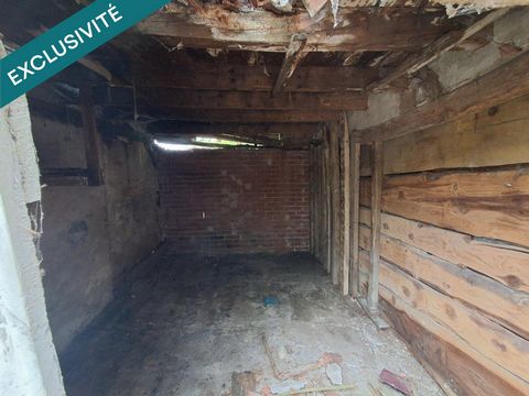 photo no. 10