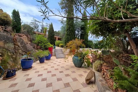 photo no. 16