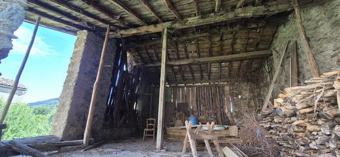 photo no. 14