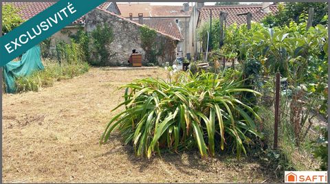 photo no. 12