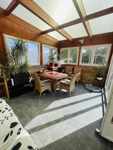 photo no. 9