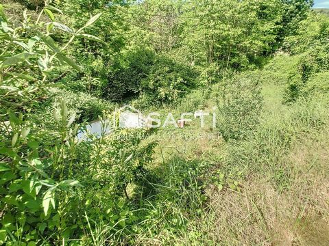 photo no. 17