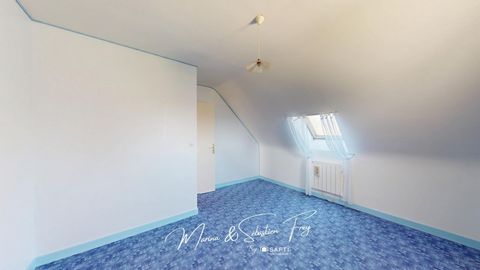 photo no. 12