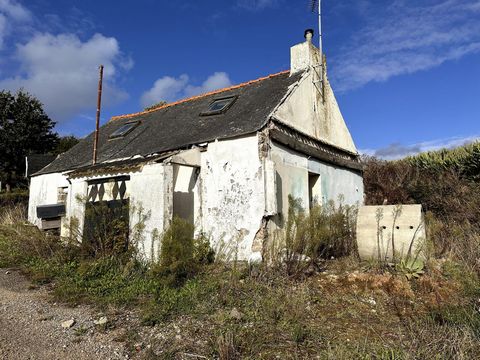 Maison, 1 pièce