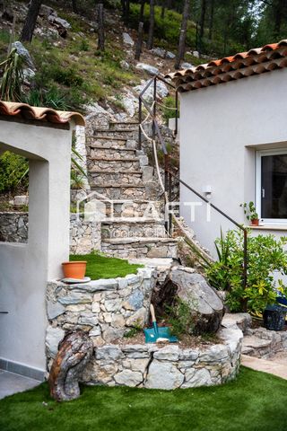 photo no. 15