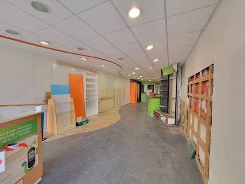 photo no. 17