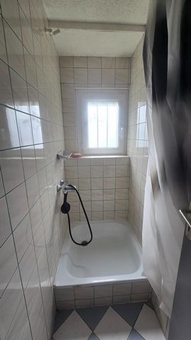 photo no. 12
