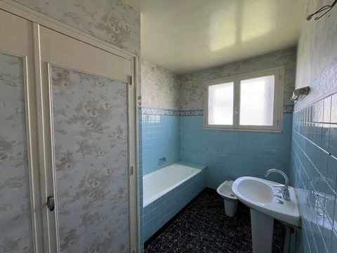 photo no. 8