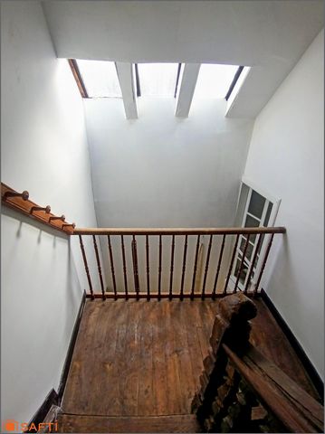 photo no. 11