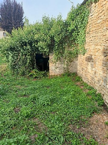 photo no. 16
