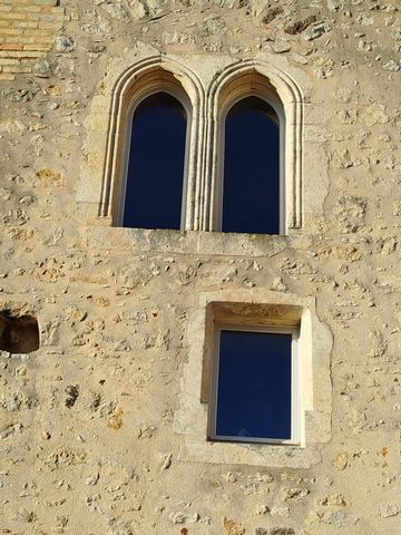 photo no. 18