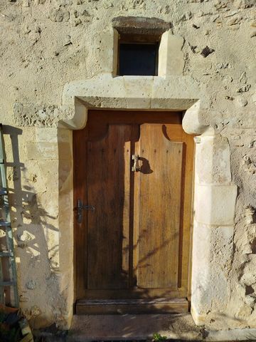 photo no. 19