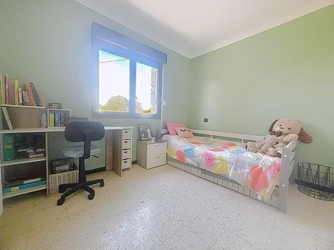 photo no. 12