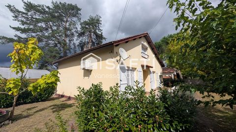 photo no. 5