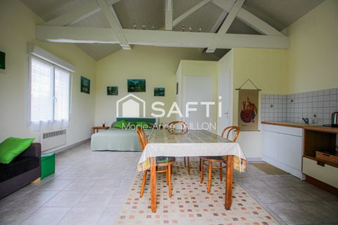 photo no. 6