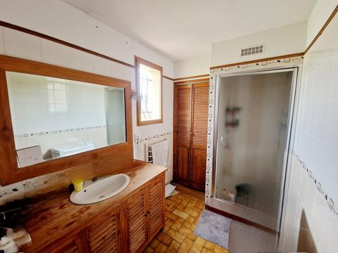 photo no. 10