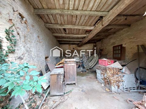 photo no. 4