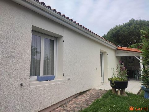 photo no. 19