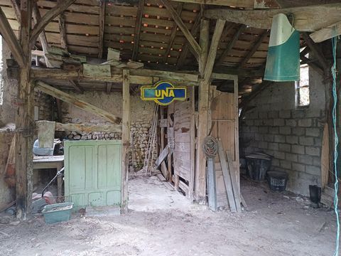 photo no. 14