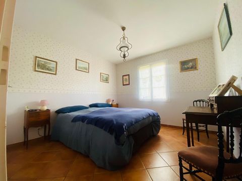 photo no. 11