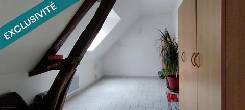 photo no. 4