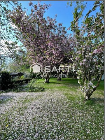 photo no. 19