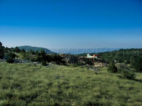 photo no. 11