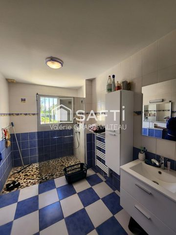 photo no. 12