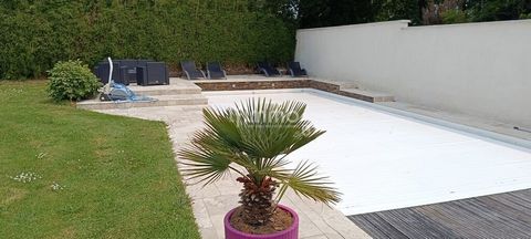 photo no. 8
