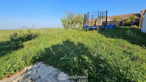 photo no. 16