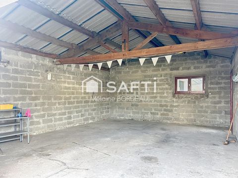 photo no. 15
