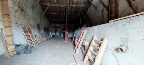 photo no. 11
