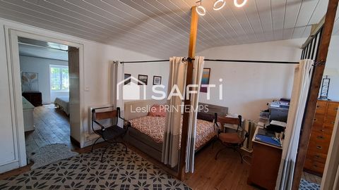 photo no. 6