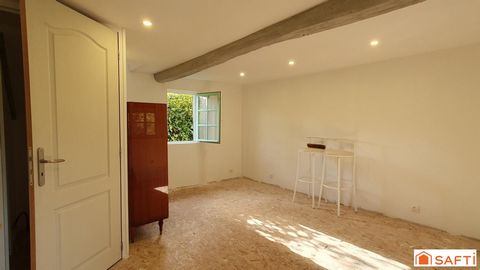 photo no. 16