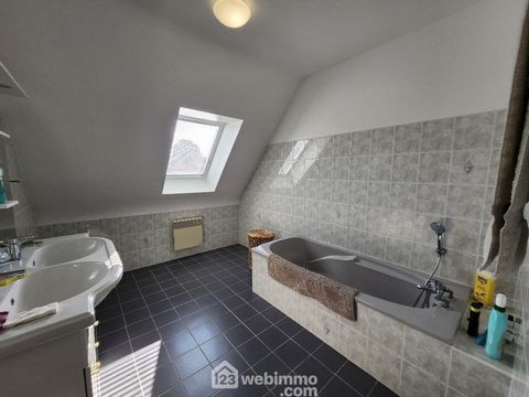 photo no. 13
