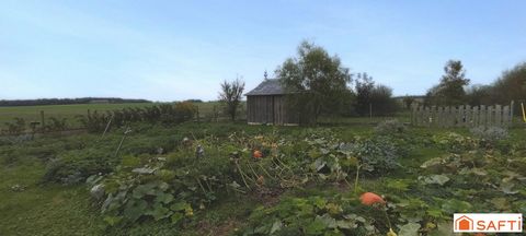 photo no. 12