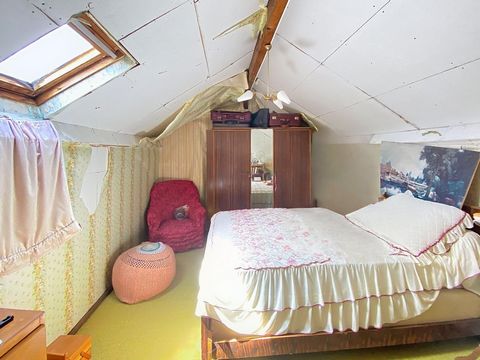 photo no. 10