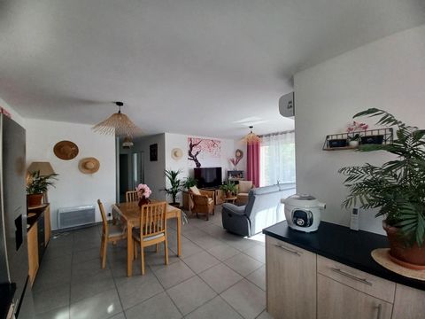 photo no. 5
