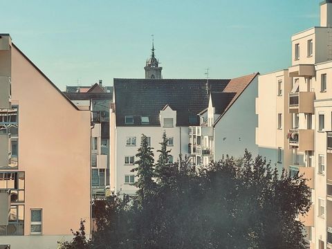 photo no. 9