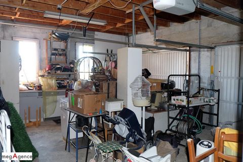 photo no. 19
